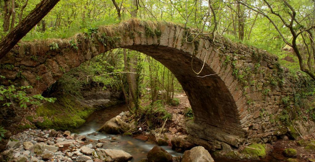 La Closa Vandrarhem Castellar De N'Hug Exteriör bild
